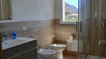 Shower, hair dryer, bidet, towels