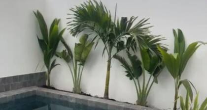 Appartement cozy aux Almadies