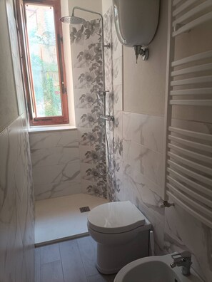 Hair dryer, bidet, towels, toilet paper