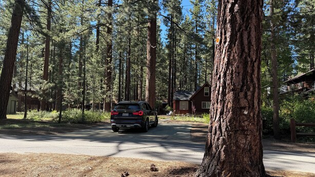 Ein bewaldetes Gebiet mit einer Straße, einem schwarzen SUV und einer Hütte.