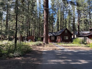 A cabin surrounded by tall pine trees, with a clear sky above.
