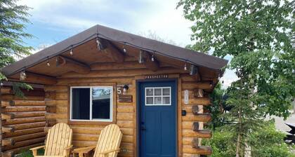 Hunter Cabin-Modern Comfort in the Last Frontier (For families or casual travelers)