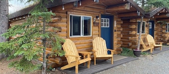 Fireweed Cabin-Modern Comfort in the Last Frontier (For families or casual travelers)