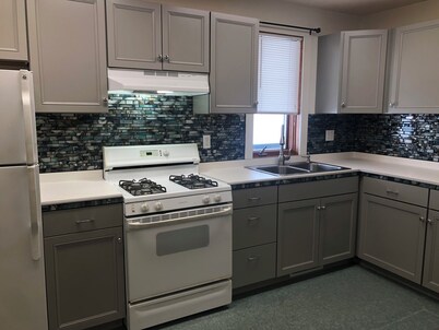 Iditarod Cabin-Modern Comfort in the Last Frontier (For families or casual travelers)