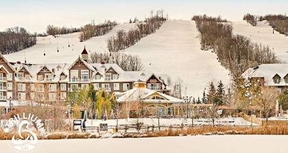 Blue Mountain Luxury Studio