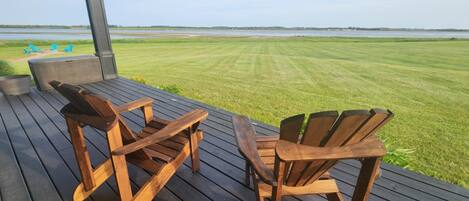 Terras