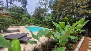 Outdoor pool - Jungle Mansion - 7 Bedrooms with Gardens, Pool, Jacuzzi, & More (Panamá)