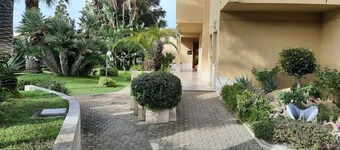 Silver Star Apartments
