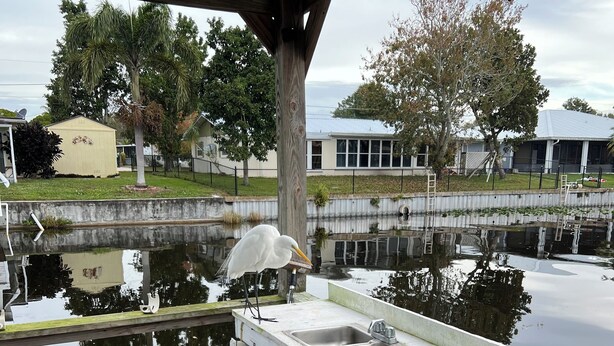 A covered dock with a wooden bench and a white wicker chair, overlooking a calm body of water with a wooden pier and a building in the background. - “Our Lakeside Oasis” is a Cozy 2-bedroom house in charming Okeechobee. (Okeechobee)