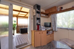 TV, DVD player, ping pong