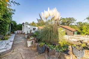 A stone-paved courtyard with a white building, a wooden structure, and various potted plants.