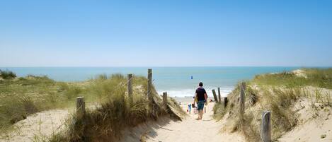 Plage à proximité