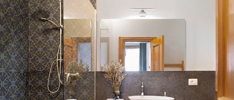 Shower, hair dryer, towels