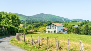 A rural road leading to a house with a green roof and white walls, surrounded by lush greenery and hills.
