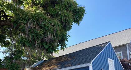 Charming 2-bedroom cottage in lovely downtown Weaverville with WiFi, AC
