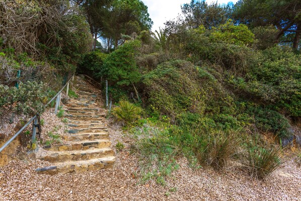 Una escalera de piedra que sube una colina, rodeada de arbustos y árboles frondosos.