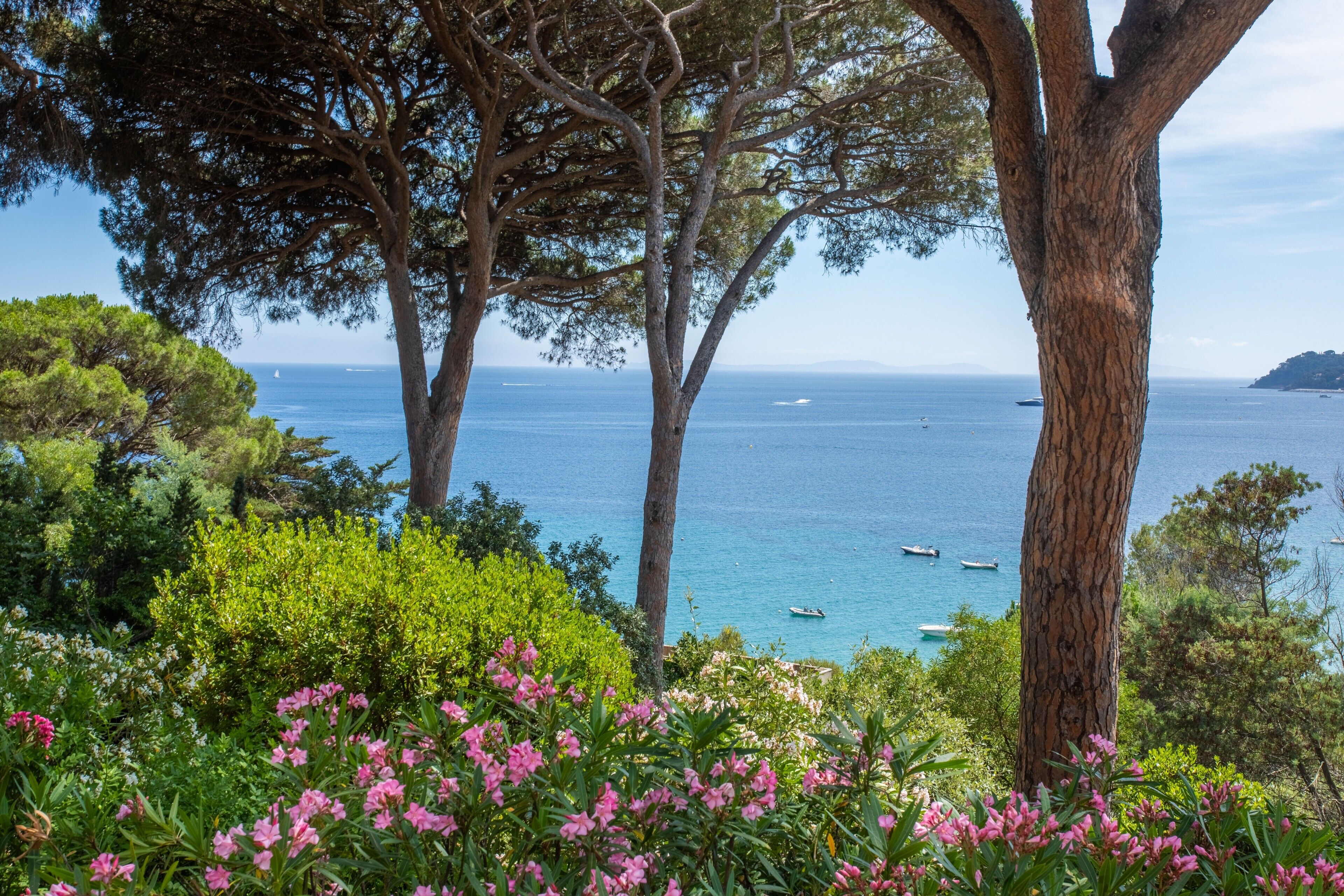 A coastal landscape with trees and flowers, a clear sky, and boats on the water.