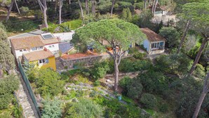 A residential property with a large tree, stone walls, and a yellow building. - Room 'Bagaud' with Sea View, Shared Terrace and Wi-Fi (La Croix-Valmer)