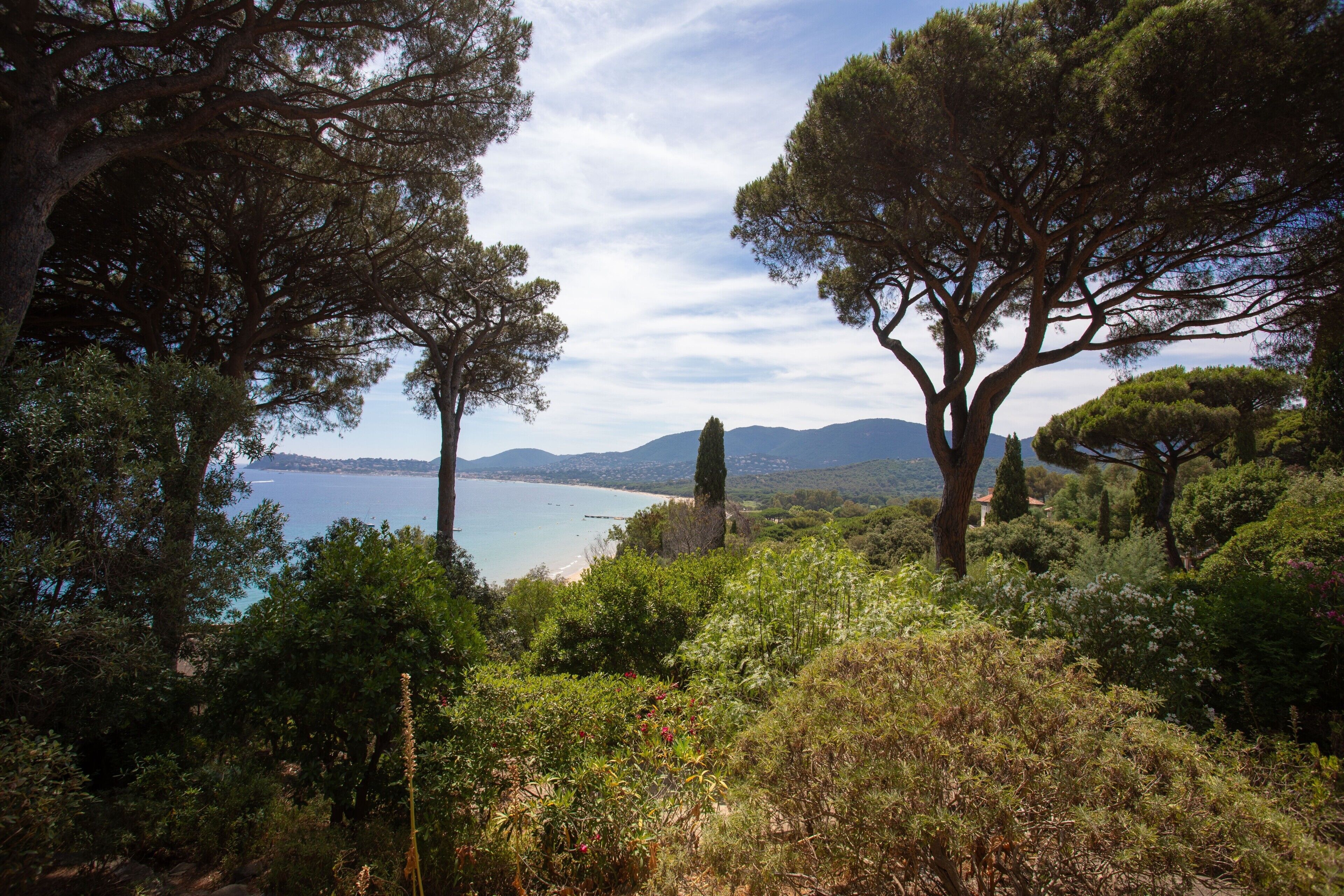 A coastal landscape with trees, a beach, and distant mountains.