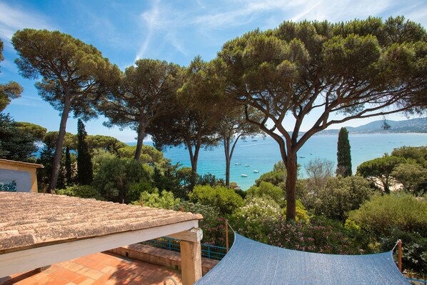 Áreas de la propiedad