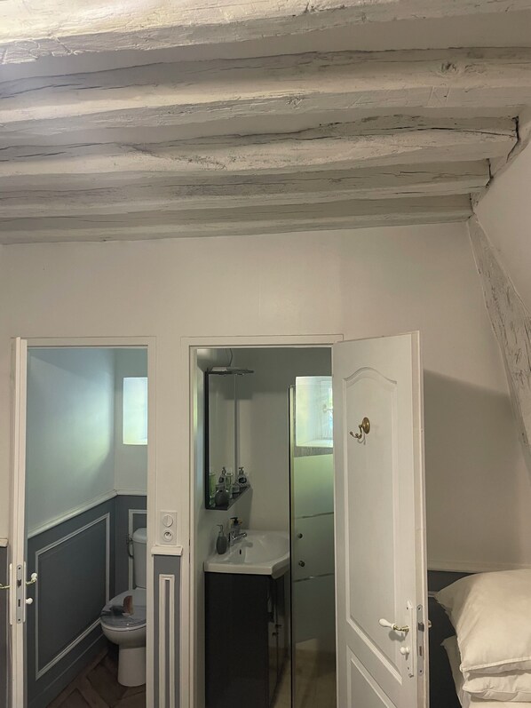 Un apartamento pequeño y estrecho, de una sola habitación, con techo inclinado, inodoro a la vista, lavabo y espejo.