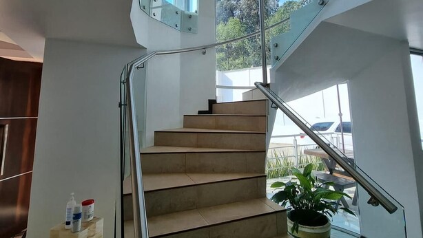 A modern interior with a glass staircase, a potted plant, and a view of the outdoors.
