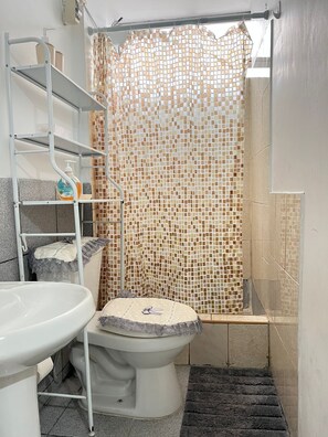 Regadera, secadora de cabello, toallas, papel de baño