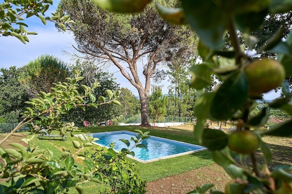 Une piscine entourée d’une pelouse bien entretenue, d’un grand arbre et d’une clôture.