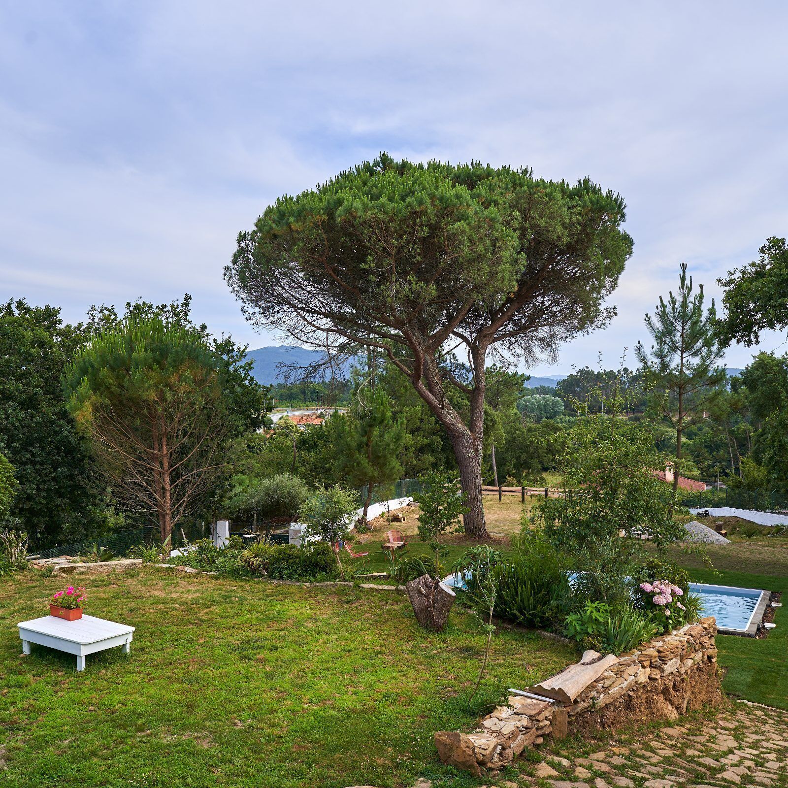 Área da propriedade