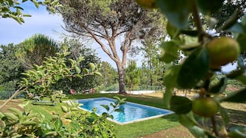 Alberca