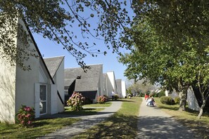House | Property grounds
