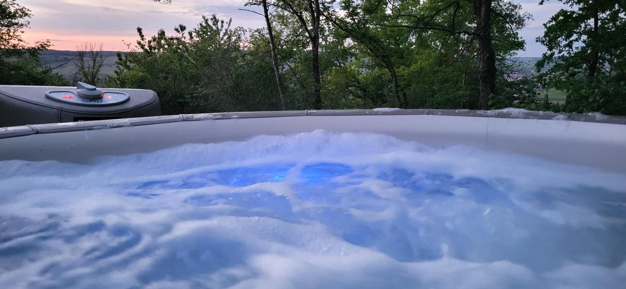 Un bain à remous entouré d’arbres, avec une vue sur un paysage en arrière-plan.