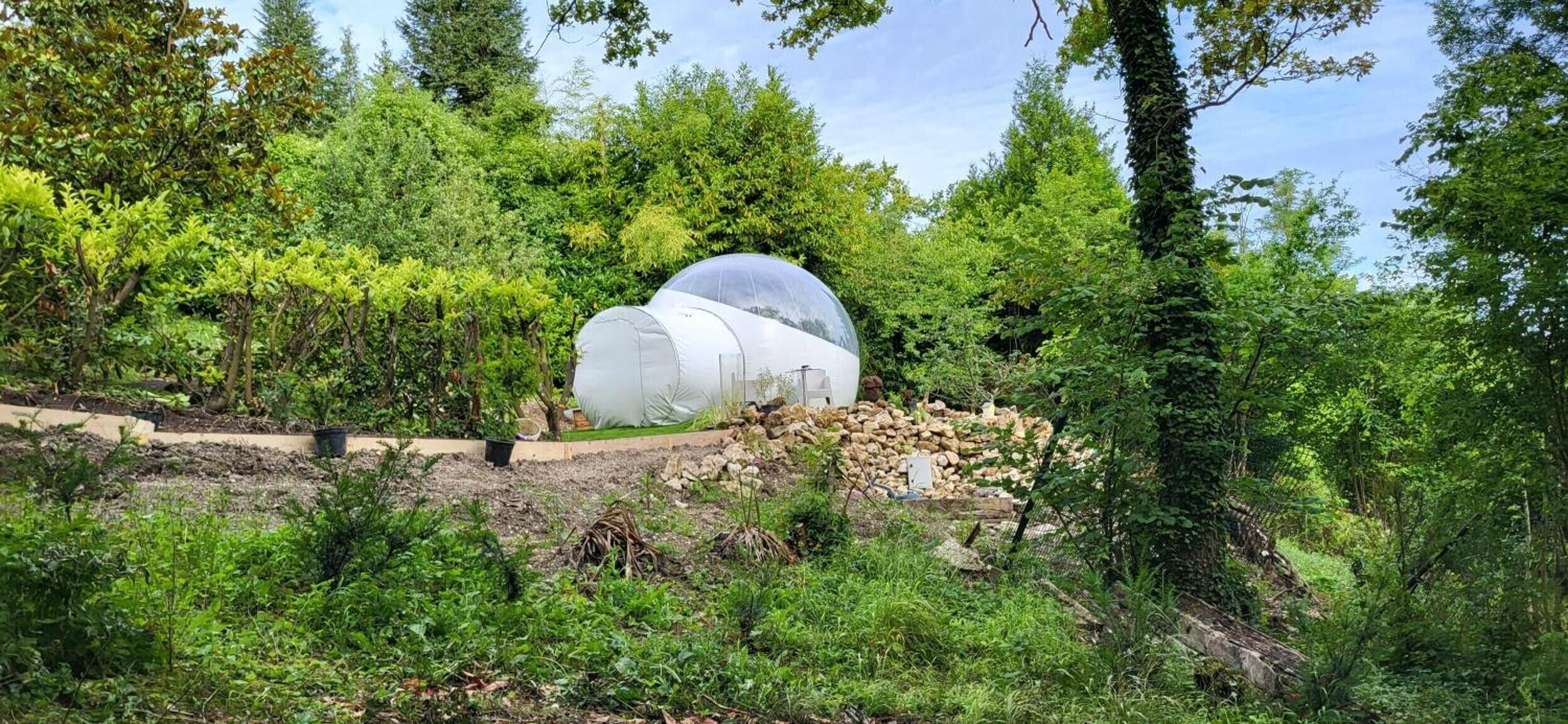 Une serre entourée d’une végétation luxuriante.