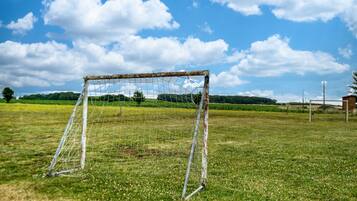 A soccer goal in a grassy field with a clear sky.