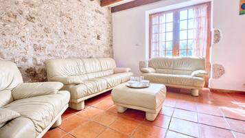 TV, fireplace, table tennis