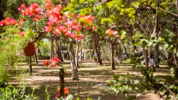 Overnatningsstedets område