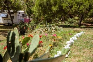 Jardines del alojamiento
