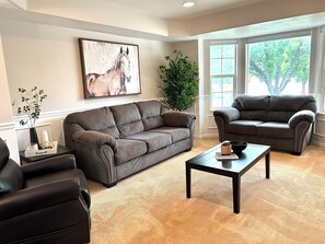 TV connectée, cheminée, lecteur de DVD, livres