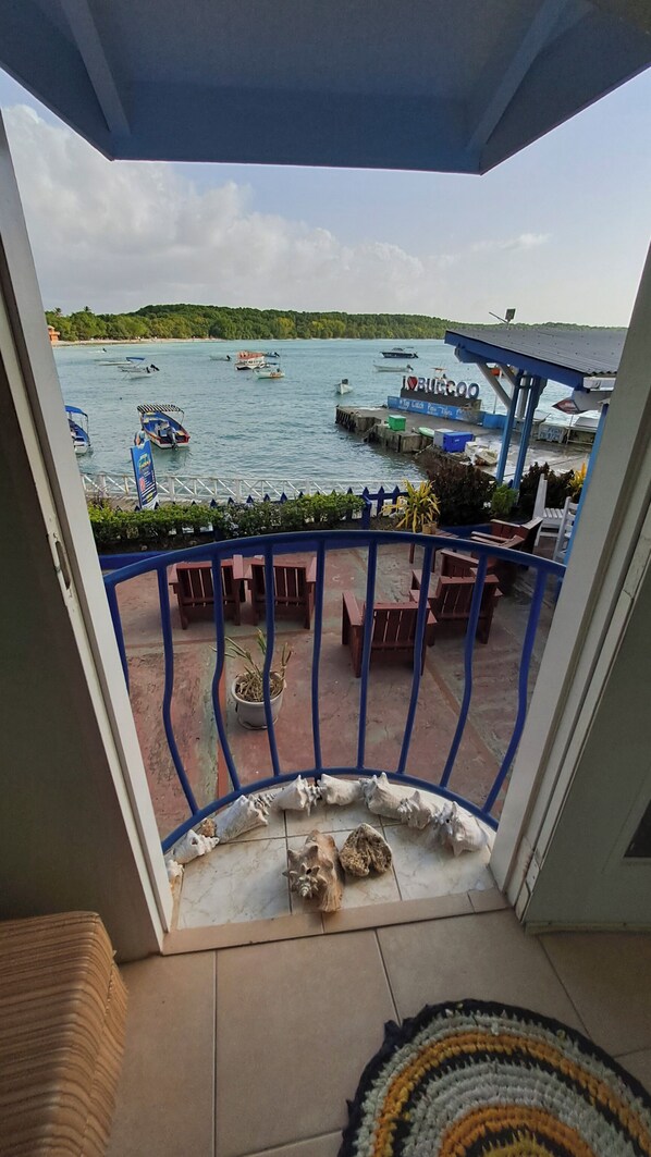 Terras