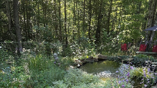 Ein Garten mit einem kleinen Bach, umgeben von verschiedenen Pflanzen und Steinen.