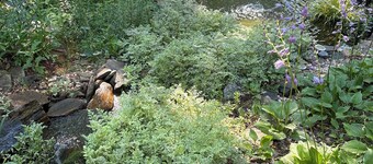 COZY CABIN minutes from Catawba Falls, and near beautiful Blue Ridge Mountains