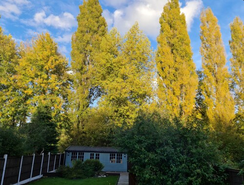 Stunning property with summer house