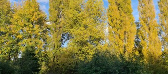 Stunning property with summer house