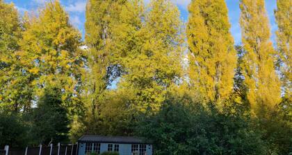 Stunning property with summer house