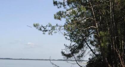 Gite de Potensac - ORDONNAC