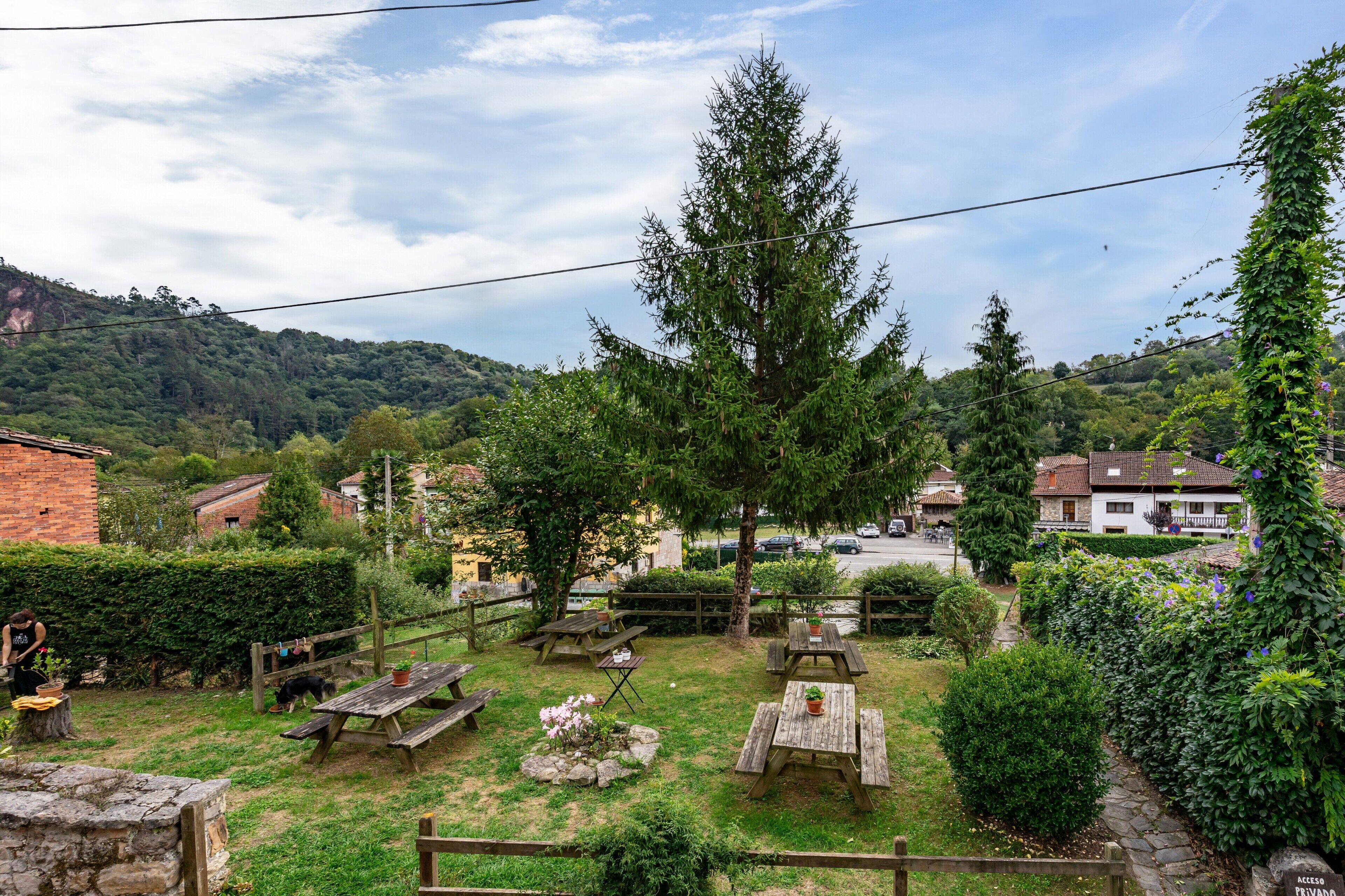 A rustic outdoor area with picnic tables, a stone wall, and a large tree.
