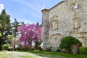 Un antiguo edificio de piedra con jardín y árboles en flor.