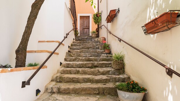 Una escalera de piedra con barandillas de metal, plantas en macetas y una puerta al final.