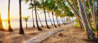 Tropical views from spacious, comfortable, well appointed apartment