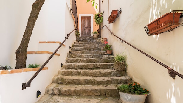 Un escalier en pierre avec des rampes en métal, des plantes en pot et une porte en haut.